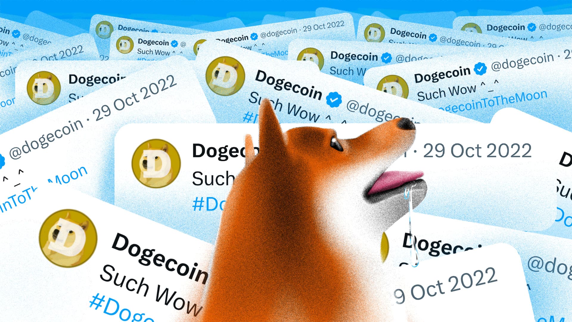 May FOMO na ba sa Dogecoin? Mga Dapat Abangan Ngayong August