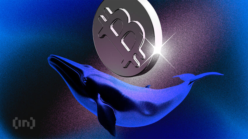 Bitcoin Whale Wallet na Tahimik Mula 2016, Naglipat ng 3,000 BTC