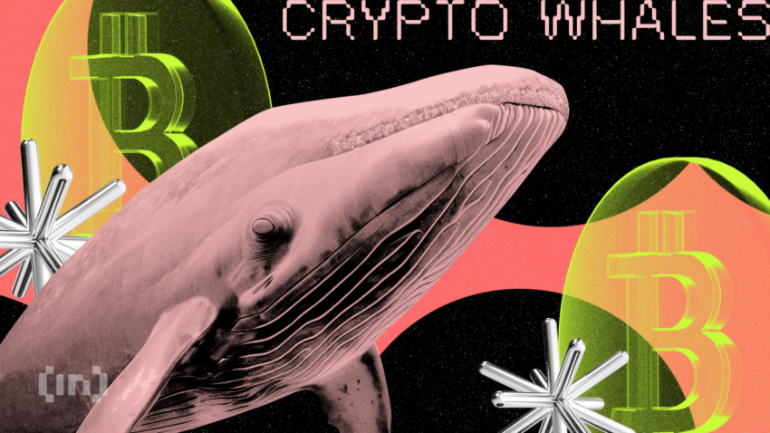 $420 Milyong Bitcoin Short ng Whale, Hinahabol ng Publiko sa Hyperliquid