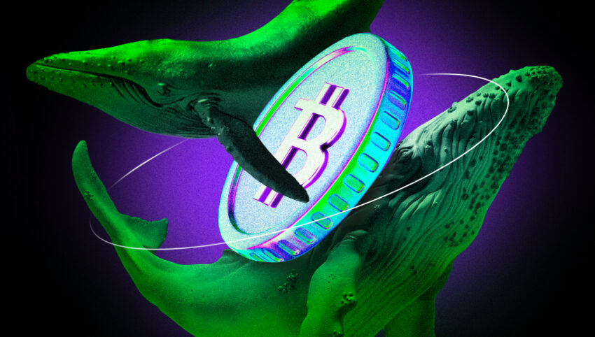 Bitcoin Whale Nag-all-in ng $1.25 Billion Long Bet sa Hyperliquid