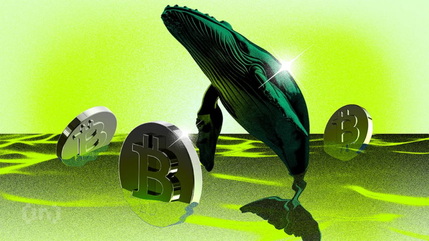 Bagong Bitcoin Whales Hawak na ang Karamihan ng BTC Capital | Weekly Whale Watch