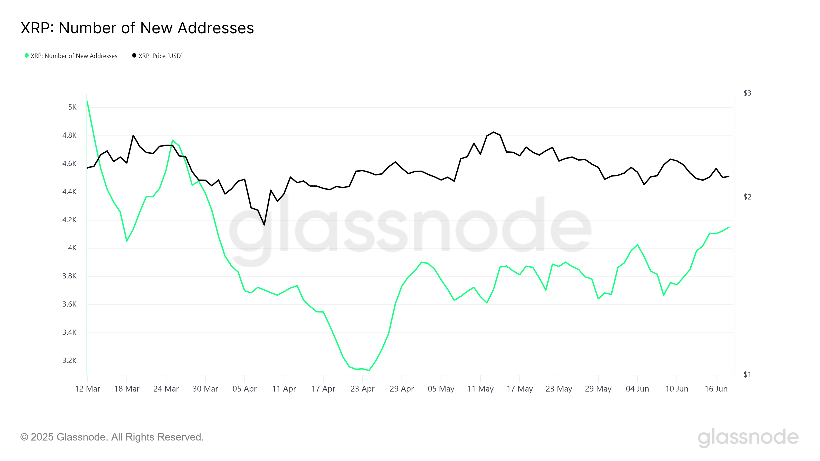 XRP New Addresses
