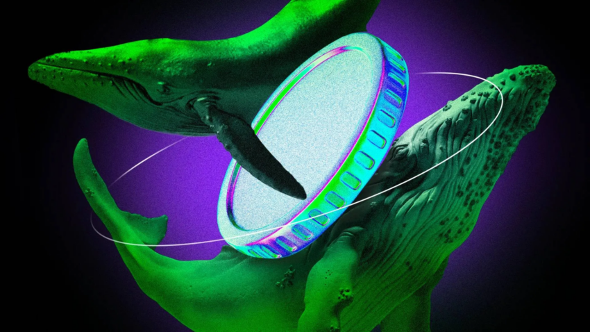 Crypto Whales Nag-invest ng Milyon sa 3 Altcoins sa Unang Linggo ng Hunyo