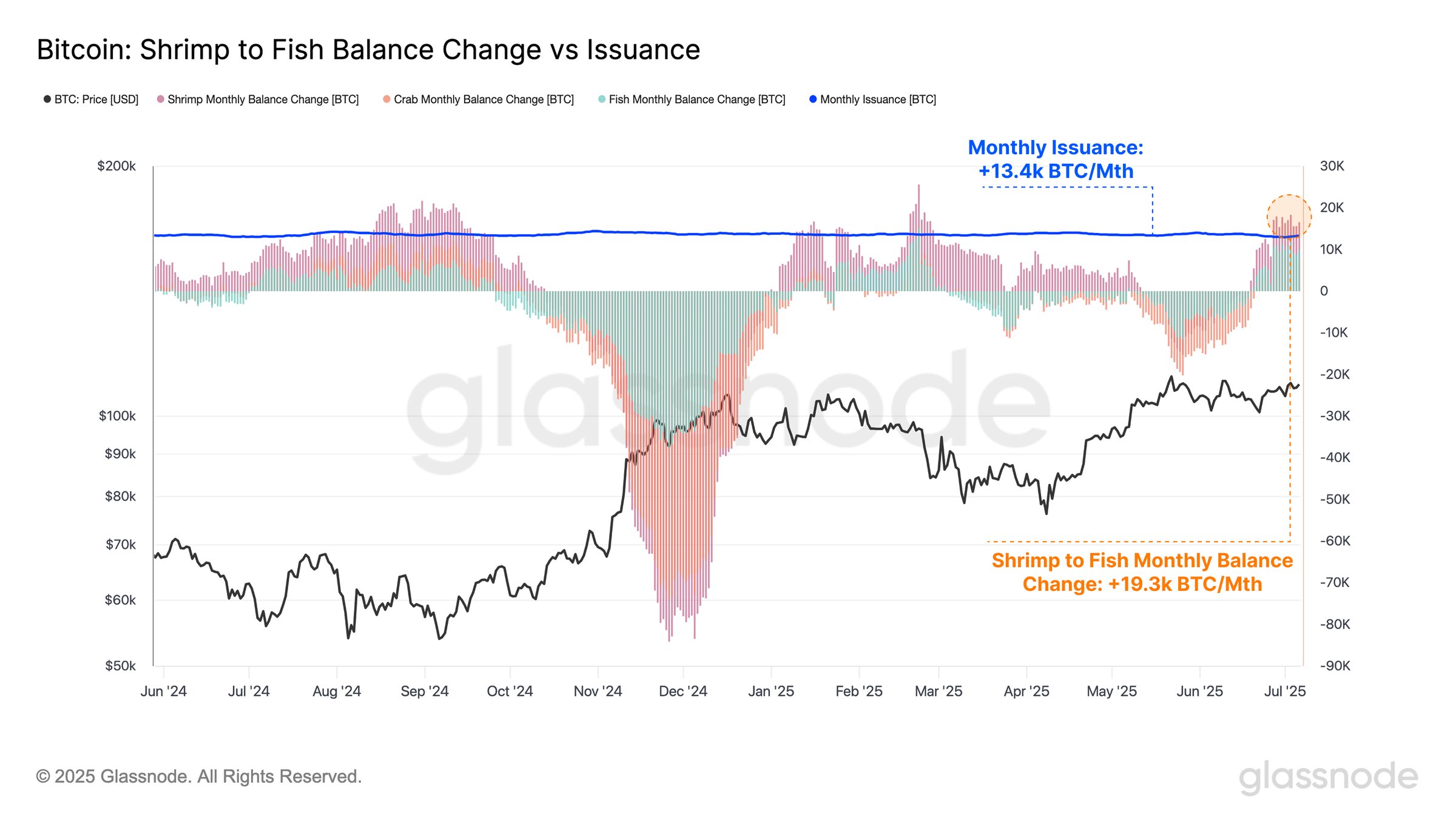Bitcoin Shrimp To Fish Balance